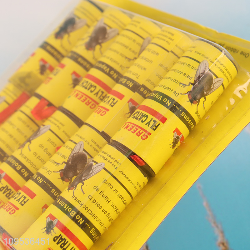 Low price 10pcs fly catch trap